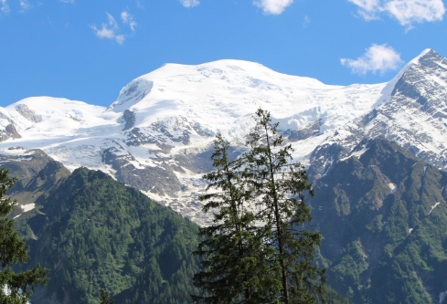 1688250863595798.png image.png