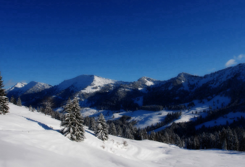 1688251031286714.png image.png