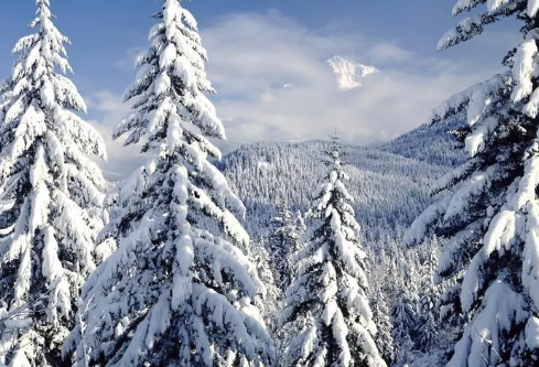 1688251204217246.png image.png