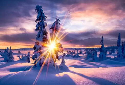 1688251871448294.png image.png