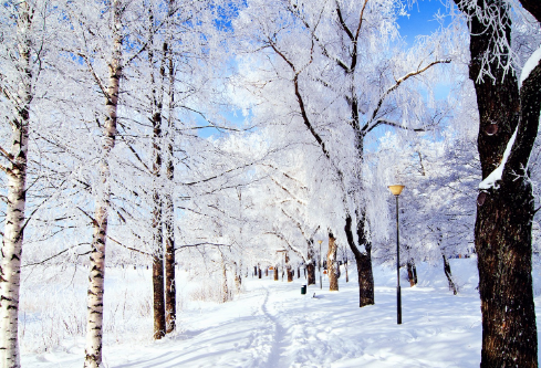 1688252037915635.png image.png