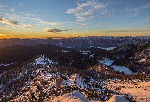 1688264203753317.png image.png