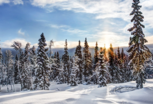 1688265202757623.png image.png