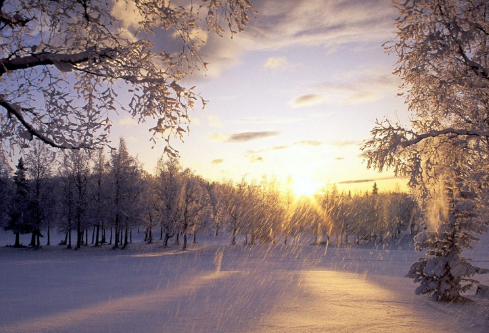 1688267542276633.png image.png