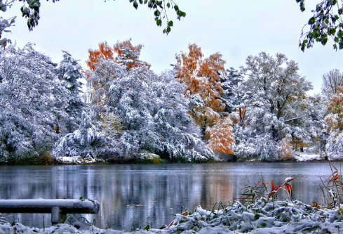 1688270558441518.png image.png