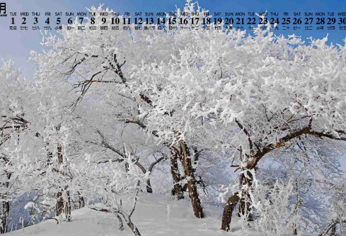 1688271057172060.png image.png