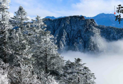 ​暑期社会实践日记