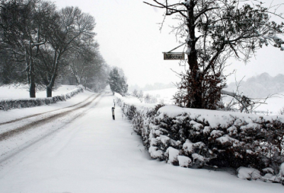 ​元宵节日记200字