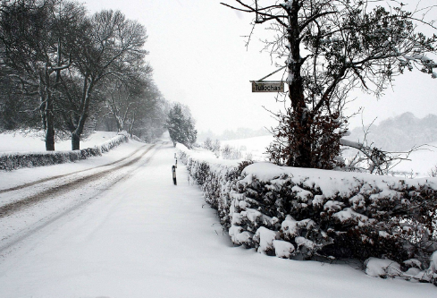 1688271557351484.png image.png