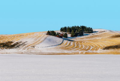 ​没有彩排的青春作文