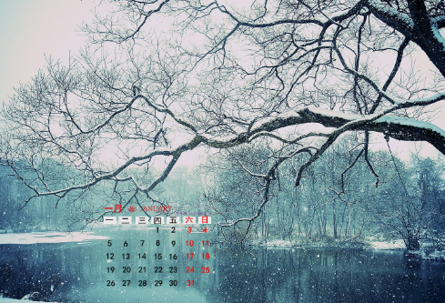 1688272891575969.png image.png