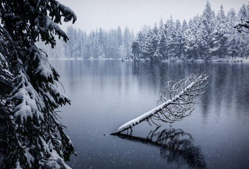 1688273057978343.png image.png