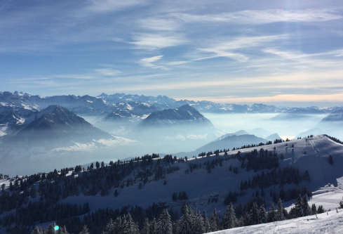 1688277720388649.png image.png