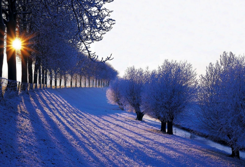 1688278719415275.png image.png