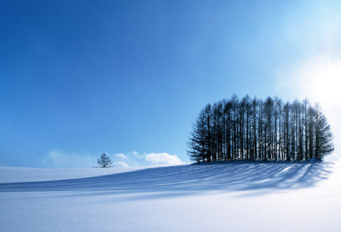 1688279218344930.png image.png