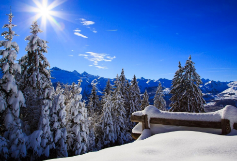 1688279551821025.png image.png