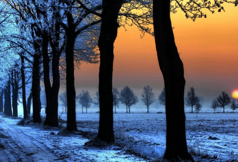 1688279885544186.png image.png