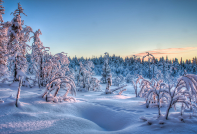 ​范仲淹罢宴文言文翻释（范仲淹罢宴原文及译文赏析）