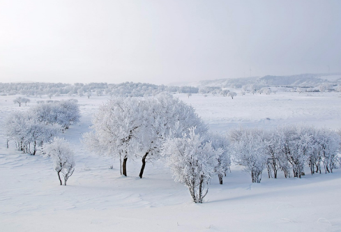 1688280218408120.png image.png