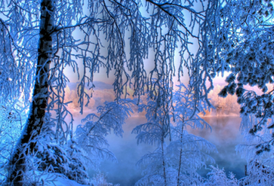 ​我有一个好爸爸小学作文400字