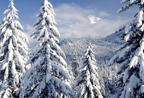 1688280552360415.png image.png