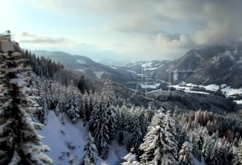 1688282218958023.png image.png