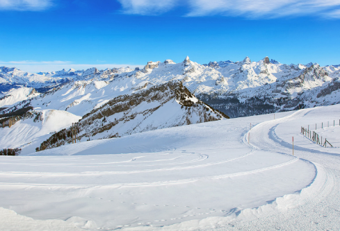 1688283051985650.png image.png