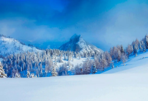 1688284051144285.png image.png