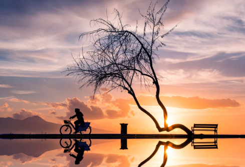 1688411865268120.png image.png