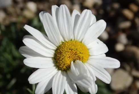 1688412031561391.png image.png