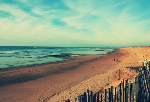 1688413027503926.png image.png