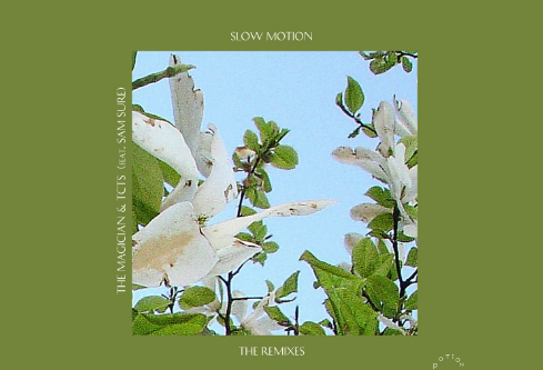 1688413524157386.png image.png