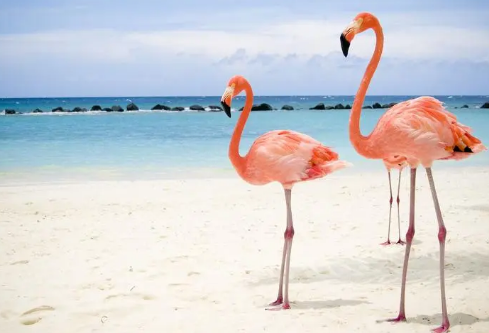 1688413690265318.png image.png