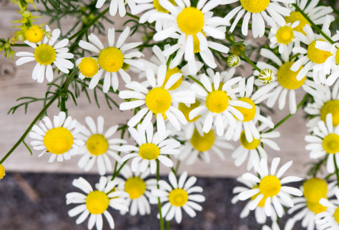 1688413856660072.png image.png