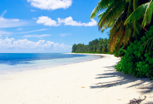 1688428156554744.png image.png