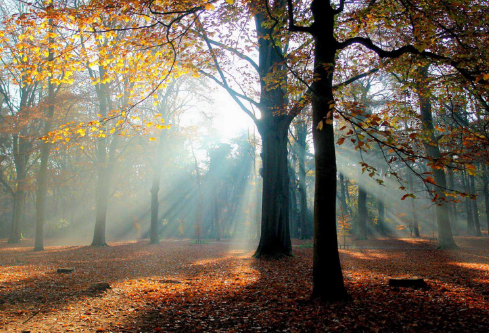 1688428322648781.png image.png