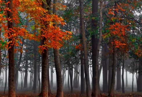 1688438623407066.png image.png