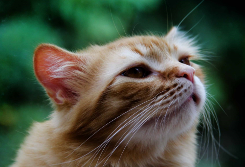 1688438955623801.png image.png