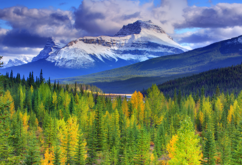 1688439121736181.png image.png