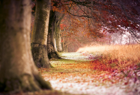 1688439287693408.png image.png