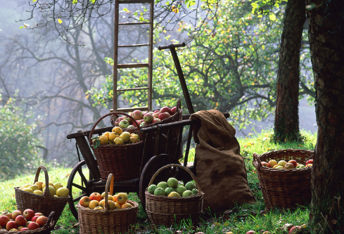 1688440448680386.png image.png