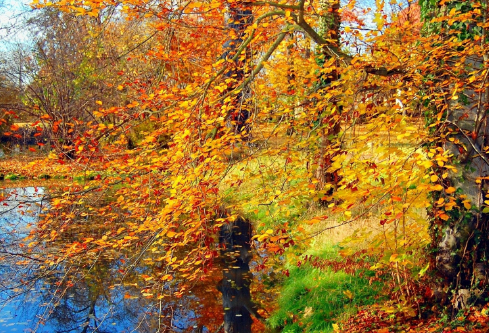 1688440946784292.png image.png