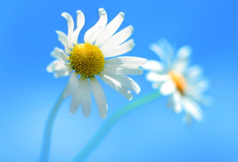 1688441112675820.png image.png