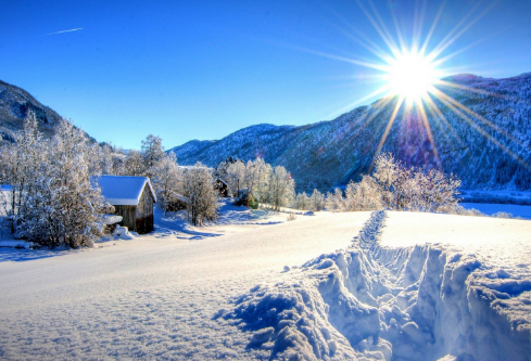 1688495784977239.png image.png