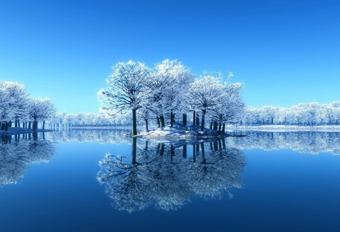 1688497775271547.png image.png