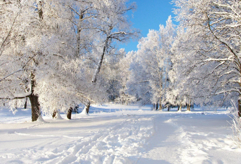 1688497941975822.png image.png