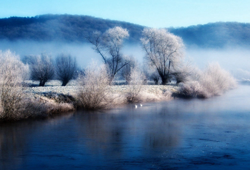 1688498605707209.png image.png