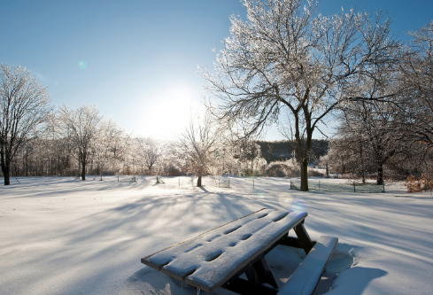 1688498770409349.png image.png