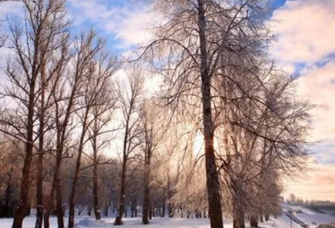 1688503913400348.png image.png