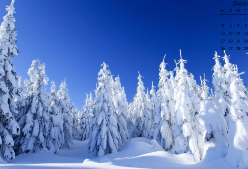 1688504410165192.png image.png